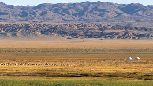 COP17: Бэлчээр, ус, цөлжилт гэсэн гурван асуудалд тал хээрийн төлөвлөгөө төвлөрч байна
